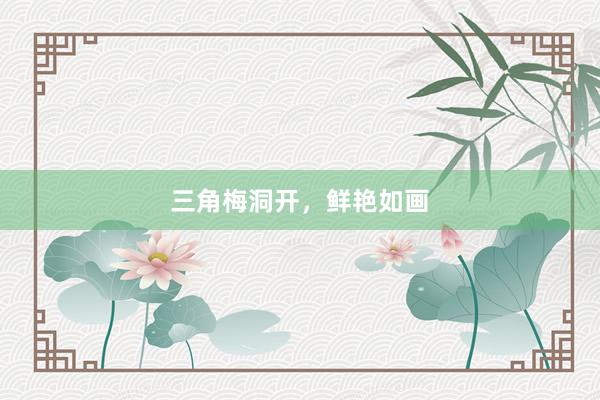 三角梅洞开，鲜艳如画