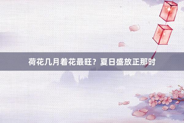 荷花几月着花最旺？夏日盛放正那时