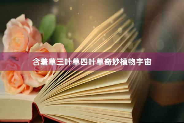 含羞草三叶草四叶草奇妙植物宇宙