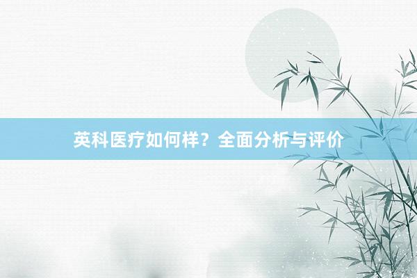 英科医疗如何样？全面分析与评价